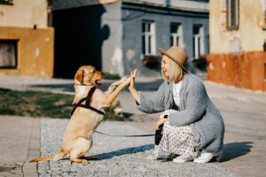 Hond gelukkig